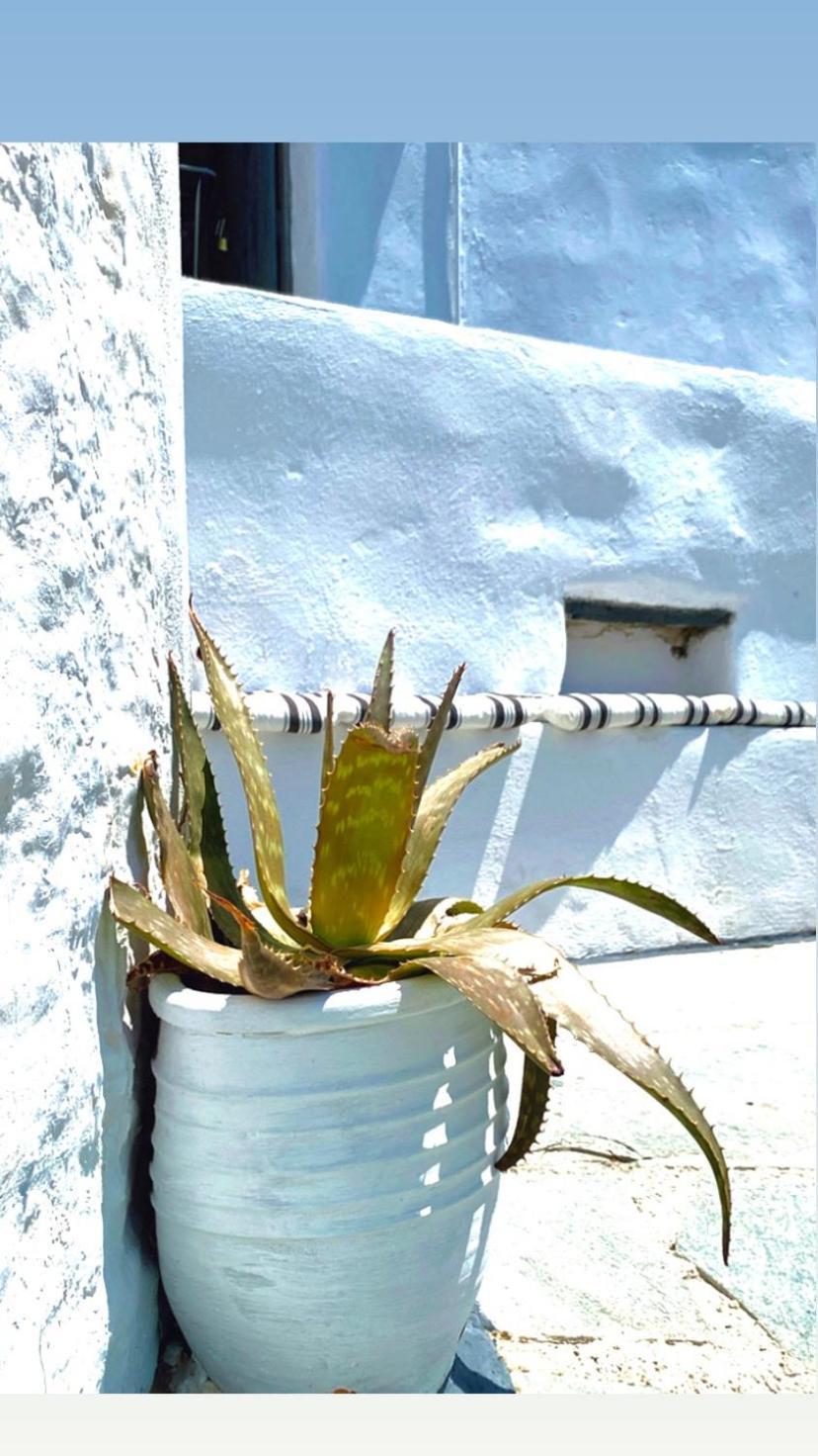 Apartment Babatseratsi Skyrian 2 Skyros